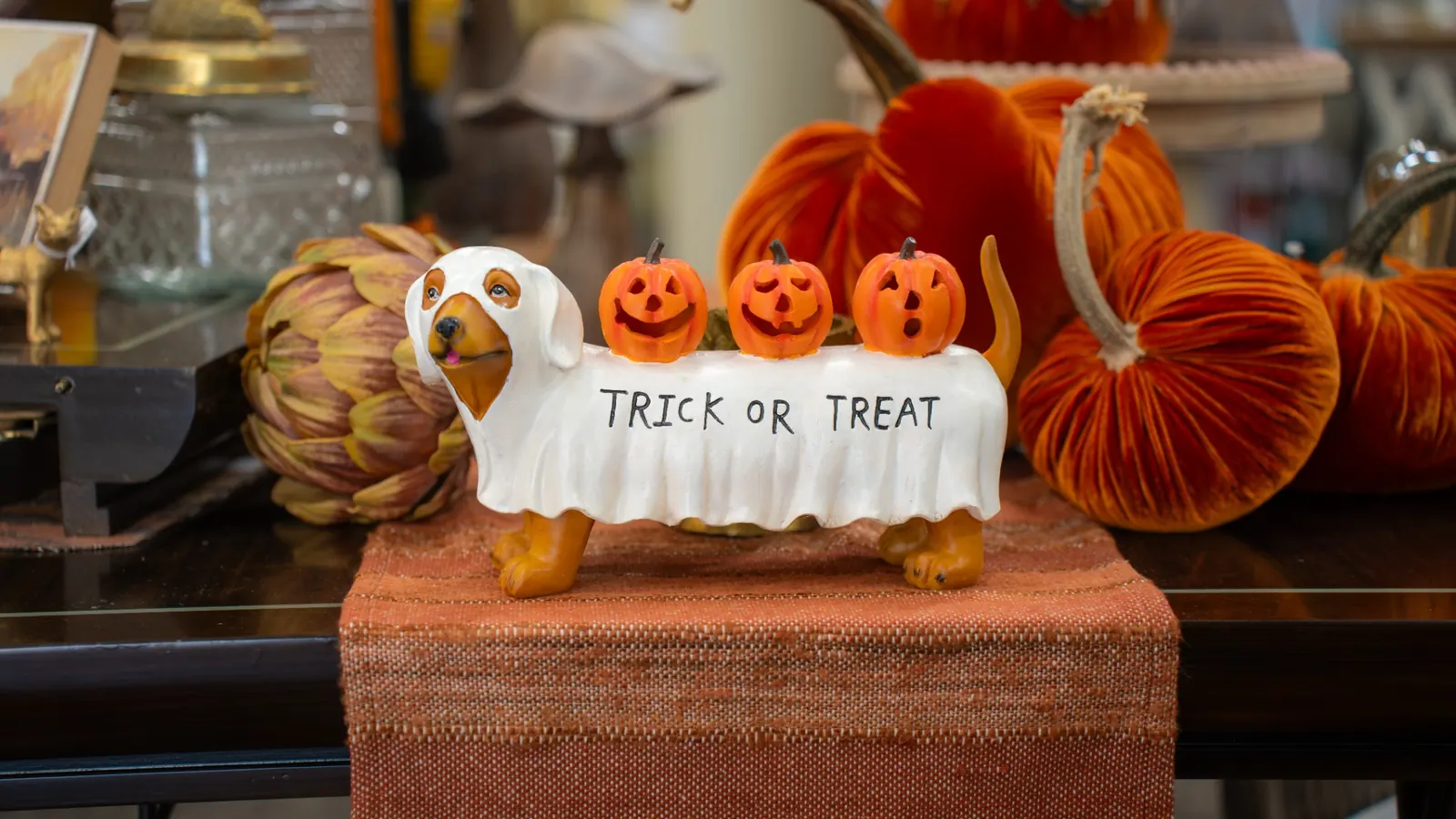 southern-lion-trick-or-treat-dog